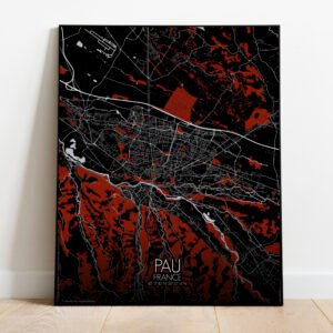 Poster of Pau | France