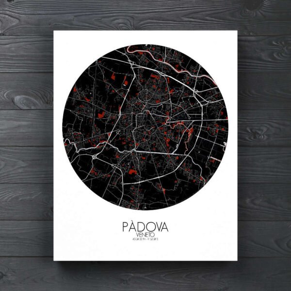 Poster of Padua | Italy